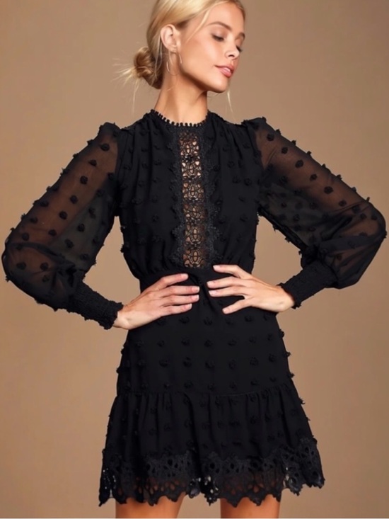 Lulus Dresses & Skirts - Lulus Black Lace Embroidered Long Sleeve Mini Dress NWT Size M
